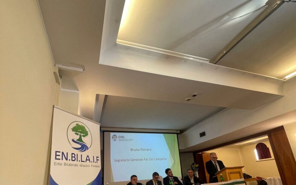 WhatsApp Image 2024-01-25 at 14.28.41 (2)